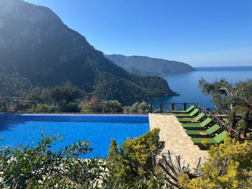 Olive Garden Kabak - Housity
