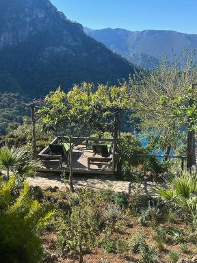Olive Garden Kabak - Housity