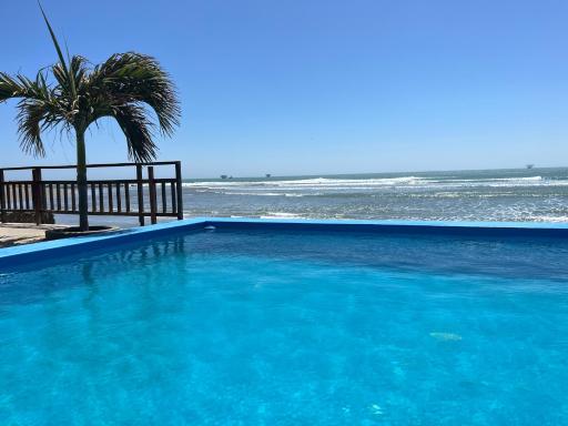 Aloha Lobitos - Housity