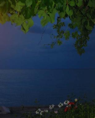 Beachfront Villa Maria - Housity