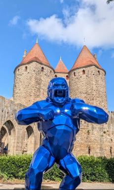 La Belle étape à Carcassonne - Housity