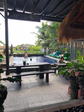 Green Paddy Hostel & Villa - Housity