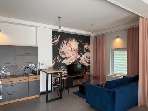 Apartamenty pod Wierzbami - Housity