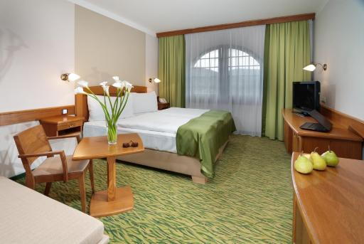 Wellness Hotel Windsor - Housity
