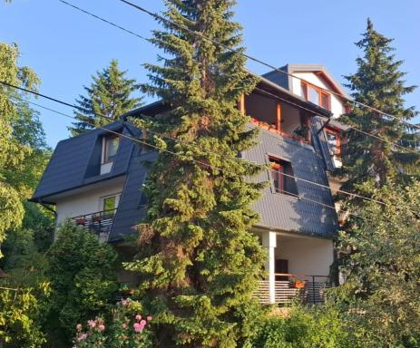 Guesthouse Hill - Housity