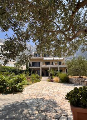 Apartments Denis - Housity