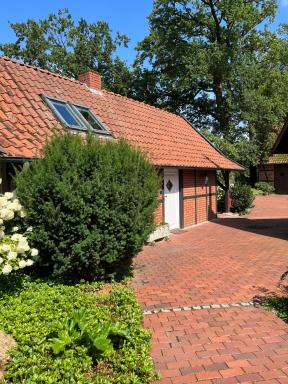 Ferienhaus in Rumke - Housity