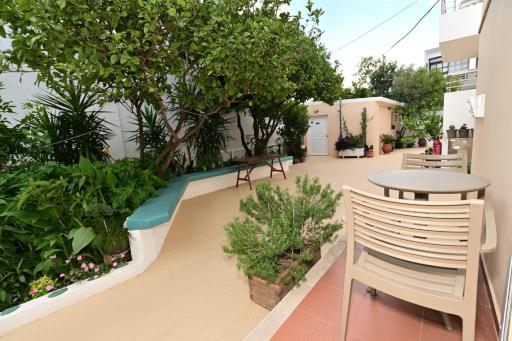 Beachfront Zygos Studios - Housity