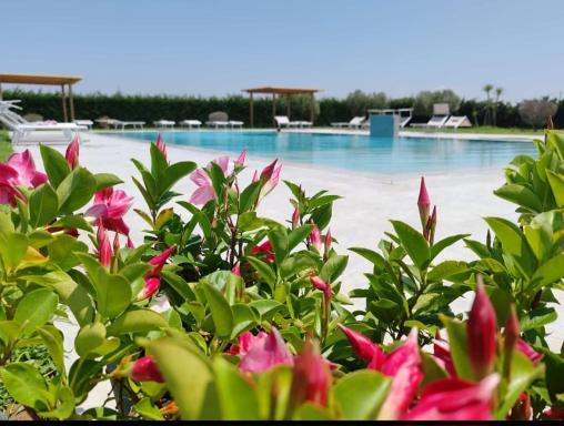 Residence la Pace - Pool & Relax - Housity