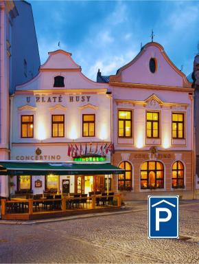 Hotel Concertino Zlatá Husa - Housity