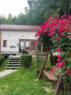 Карпатська Модрина - Housity