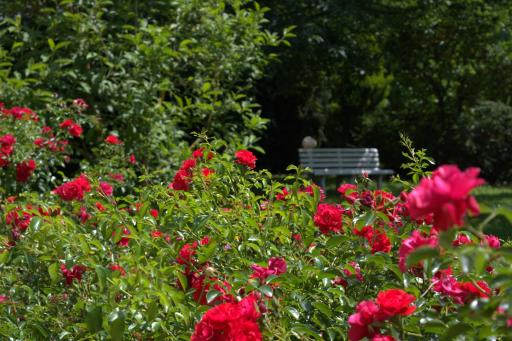 B&B Terra del Sole - Housity