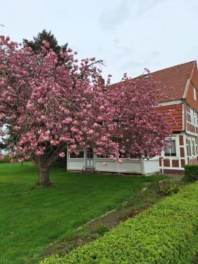Gasthaus zur Grenze - Housity