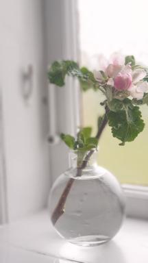 Ronehamn Bed and Breakfast - Housity