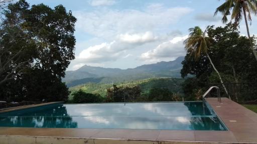 Paradise Forest Garden - Housity