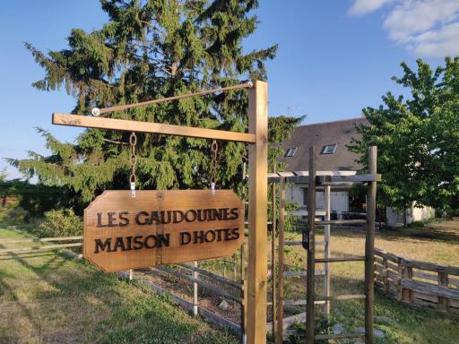 Les Gaudouines - Housity