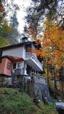 Villa Byala Luna - Guest House - Housity