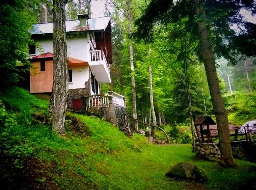 Villa Byala Luna - Guest House - Housity