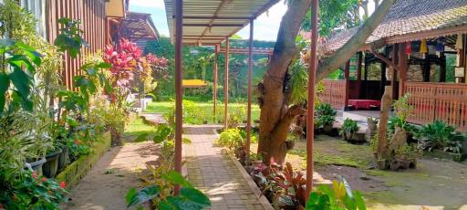 Bausasran52 - Housity