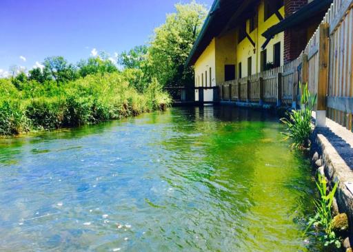 Agriturismo Helianthus - Housity