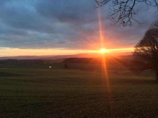 Single Apartment Hirschaid Möbliertes Wohnen auf Zeit - Housity