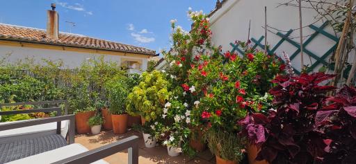 Apartamentos Los Descalzos Ángel With Private Terrace Free Parking - Housity