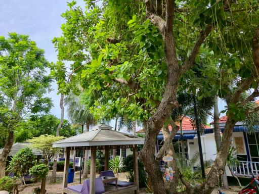 The Light House Resort - Kohlarn เดอะไลท์เฮ้าส์รีสอร์ท เกาะล้าน - Housity