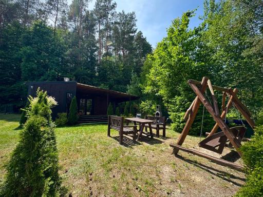 Sarzynówka pod Sosną - Housity