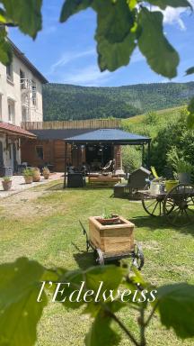 Gîte Edelweiss Saint-Martin-en-Vercors - Housity