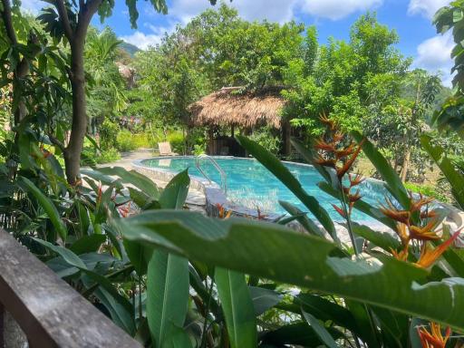 Little Mai Chau Home Stay - Housity