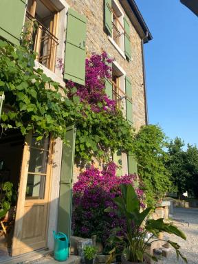 Casa Fiorita B&B Muggia - Housity
