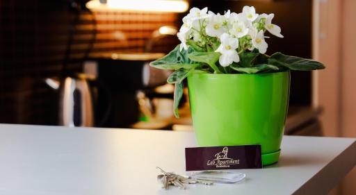 Leo Apartment - Housity