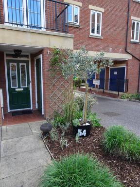 Gras Lawn B&B - Housity