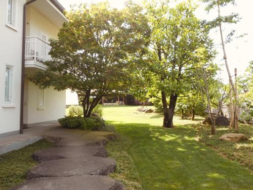 Nippon Tranquillity - Housity