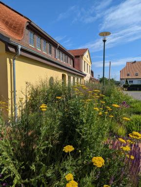 Ferienwohnungen - barrierefrei - im sanierten Gutshof - Housity