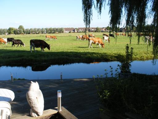 B&B-Edam - Housity
