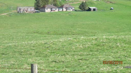 Scotland Paradise Relax by Shooting Club Kirriemuir - Housity