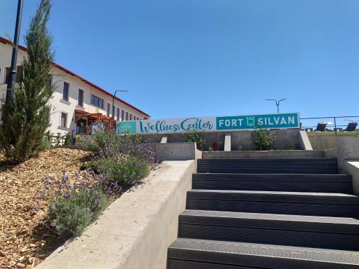 Pensiunea Fort Silvan - Housity
