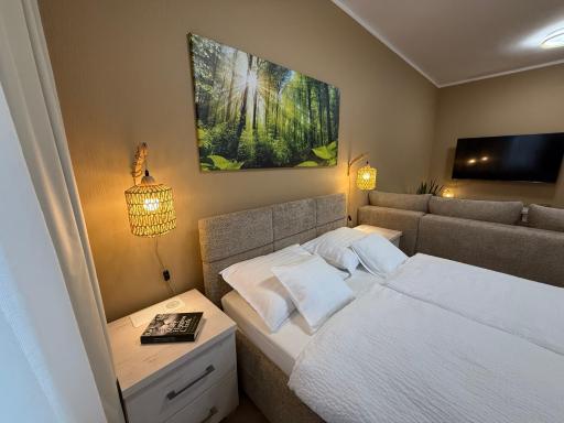 Olszyna Pod Brzozą - Housity