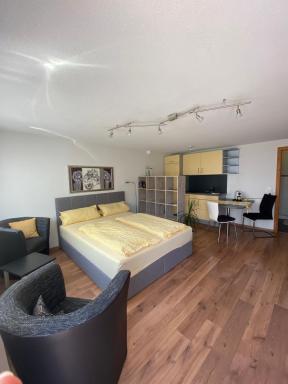 Appartement Kellerhof im Zentrum von Murg - Housity