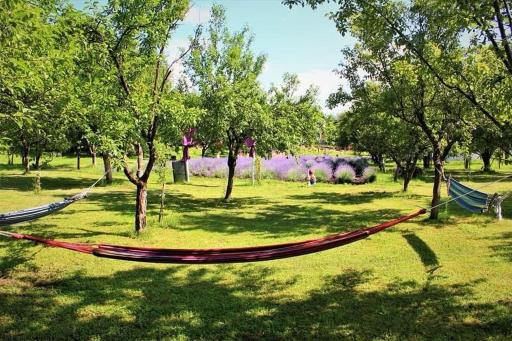 Casa rustica LavAndra - Housity