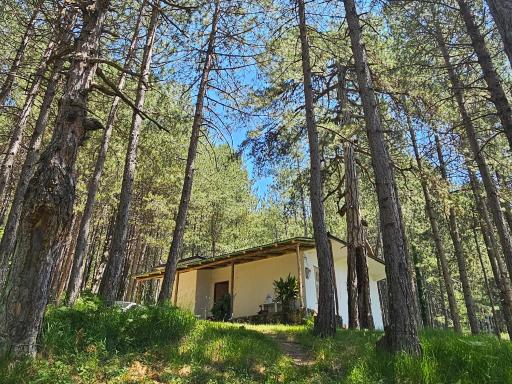 Bujtinat Skenderi Gjinar 2 - Housity