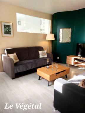 Les Belles Terrasses Dieppe ,3 appartements , LE VEGETAL de 1 à 8 personnes , LE TROPICAL de 1 à 6 personnes , LE FLORAL avec TERRASSE de 1 à 3 personnes , quartier calme au stationnement gratuit à coté de l'avenue verte - Housity