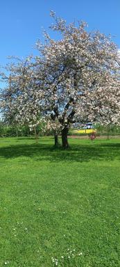Aux trois petites notes - Housity