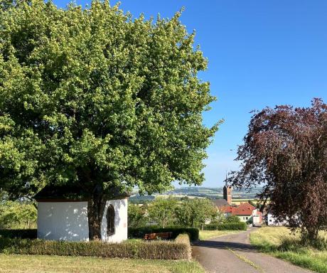 Ferienwohnung-Charly - Housity