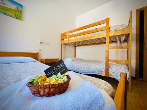 Stella d'Oro - Housity