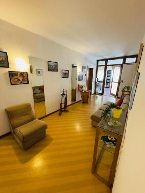 Stella d'Oro - Housity