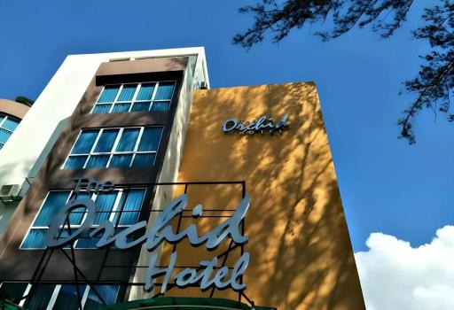 The Orchid Hotel - Housity