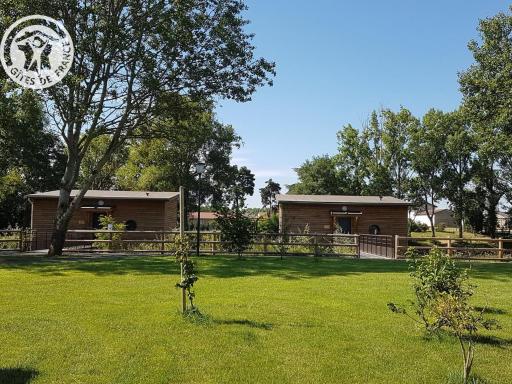 Chalets bord d'étang avec terrasse privée et équipements loisir, parfaits pour une escapade nature - FR-1-496-79 - Housity