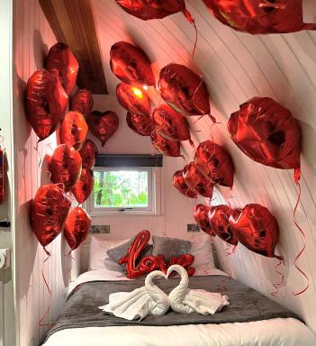 The Pod-Hot Tub-Woodland Lodges-St Clears-Carmarthen - Housity